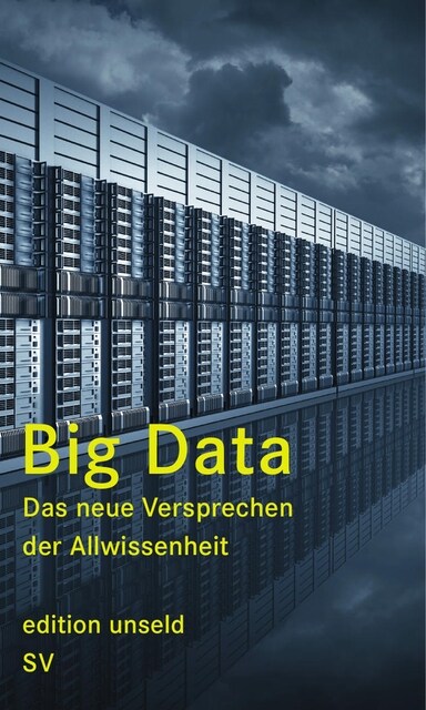 Big Data (Paperback)