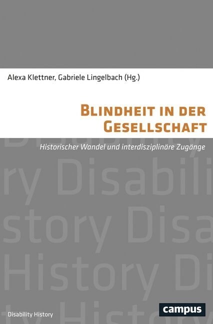 Blindheit in der Gesellschaft (Paperback)