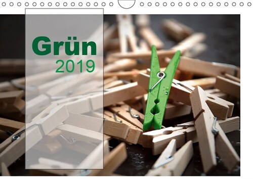 Grun / Geburtstagskalender / Terminplaner (Wandkalender 2019 DIN A4 quer) (Calendar)