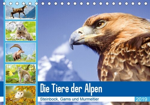 Tiere der Alpen: Steinbock, Gams und Murmeltier (Tischkalender 2019 DIN A5 quer) (Calendar)