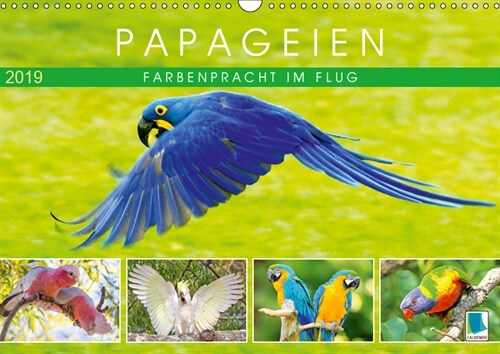 Papageien: Farbenpracht im Flug (Wandkalender 2019 DIN A3 quer) (Calendar)