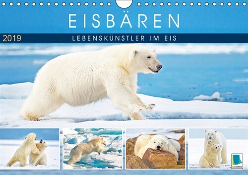 Eisbaren: Lebenskunstler im Eis (Wandkalender 2019 DIN A4 quer) (Calendar)