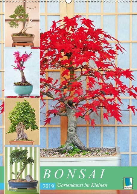 Bonsai: Gartenkunst im Kleinen (Wandkalender 2019 DIN A2 hoch) (Calendar)