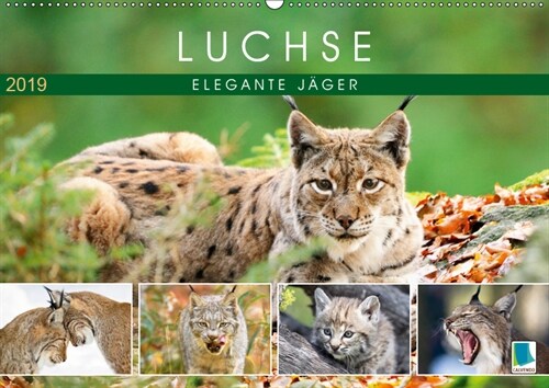 Luchse: Elegante Jager (Wandkalender 2019 DIN A2 quer) (Calendar)