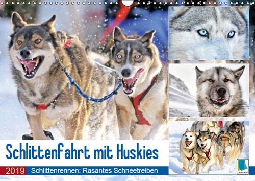 Schlittenfahrt mit Huskys (Wandkalender 2019 DIN A3 quer) (Calendar)