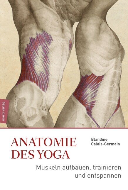 Anatomie im Yoga (Hardcover)