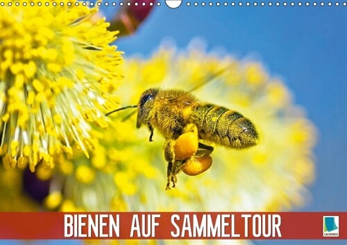 Bienen auf Sammeltour (Wandkalender 2018 DIN A3 quer) (Calendar)