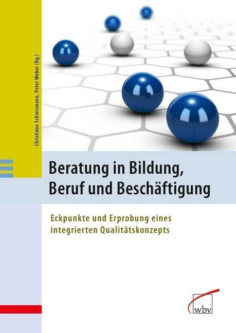 Beratung in Bildung, Beruf und Beschaftigung (Paperback)