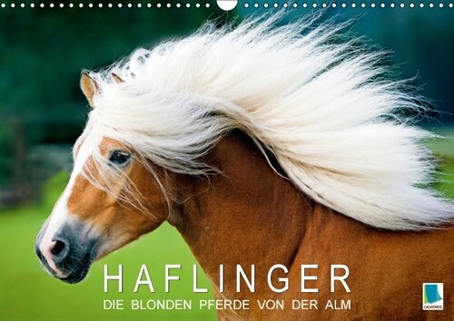 Haflinger: Die blonden Pferde von der Alm (Wandkalender 2018 DIN A3 quer) (Calendar)