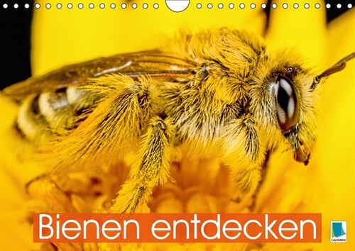 Bienen entdecken (Wandkalender 2018 DIN A4 quer) (Calendar)