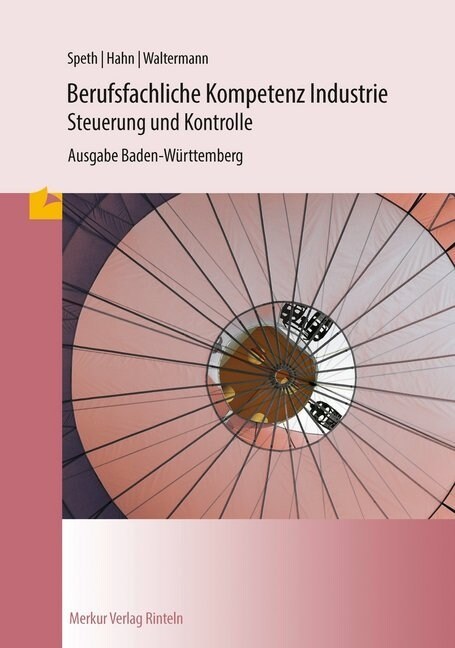 Berufsfachliche Kompetenz Industrie - Steuerung und Kontrolle, Ausgabe Baden-Wurttemberg (Paperback)