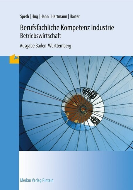 Berufsfachliche Kompetenz Industrie - Betriebswirtschaft, Ausgabe Baden-Wurttemberg (Paperback)