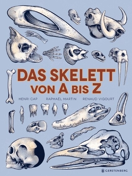 Das Skelett von A bis Z (Hardcover)