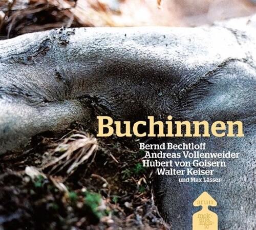 Buchinnen, m. 1 Audio-CD u. 1 DVD (Hardcover)