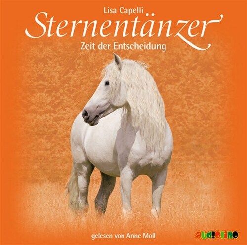 Sternentanzer - Zeit der Entscheidung, 2 Audio-CDs (CD-Audio)
