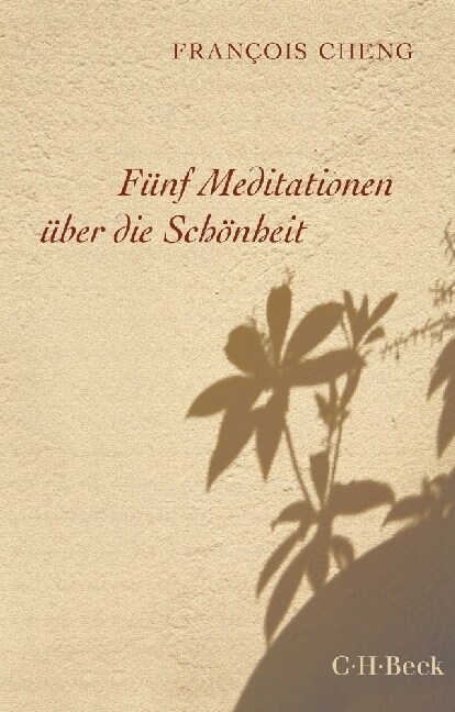 Funf Meditationen uber die Schonheit (Paperback)