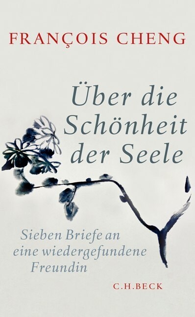 Uber die Schonheit der Seele (Hardcover)