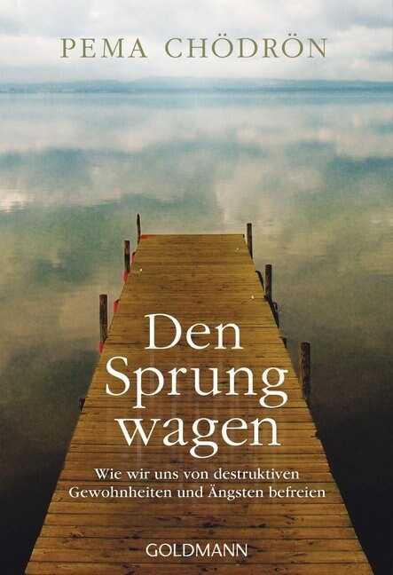 Den Sprung wagen (Paperback)