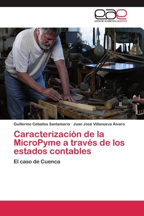 Caracterizacion de la MicroPyme a traves de los estados contables (Paperback)