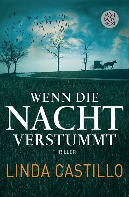 Wenn die Nacht verstummt (Paperback)