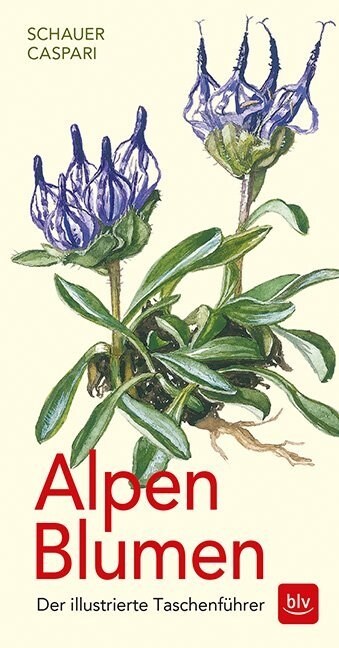 Alpen-Blumen (Paperback)