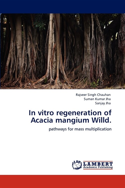 In vitro regeneration of Acacia mangium Willd. (Paperback)