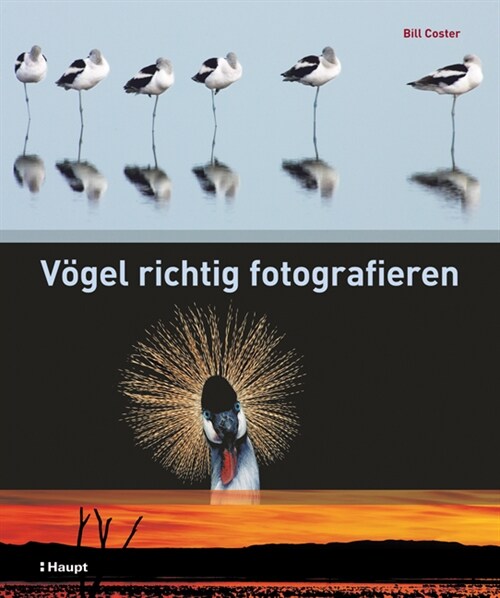 Vogel richtig fotografieren (Hardcover)