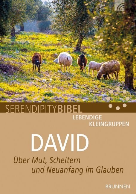 David (Paperback)