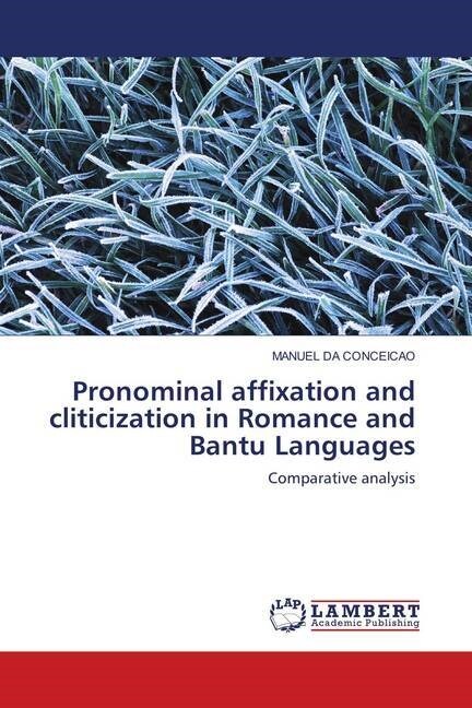Pronominal affixation and cliticization in Romance and Bantu Languages (Paperback)