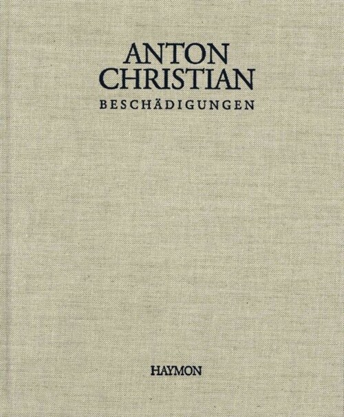 Beschadigungen (Hardcover)