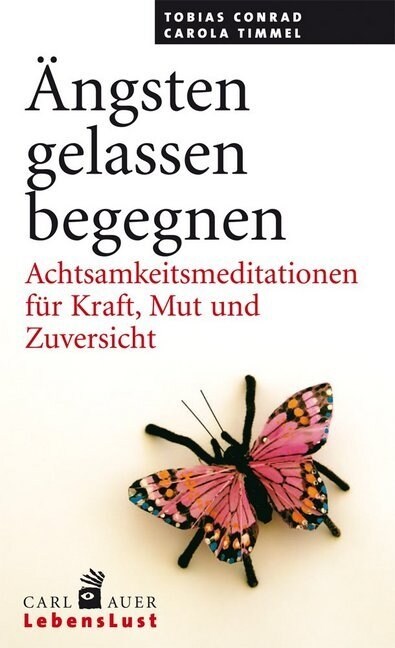 Angsten gelassen begegnen (Paperback)