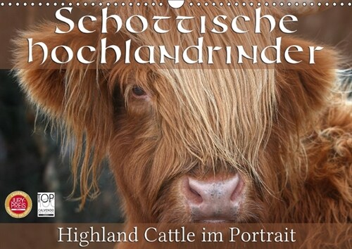 Schottische Hochlandrinder - Highland Cattle im Portrait (Wandkalender 2018 DIN A3 quer) (Calendar)