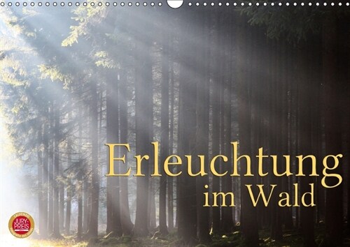 Erleuchtung im Wald (Wandkalender 2018 DIN A3 quer) (Calendar)