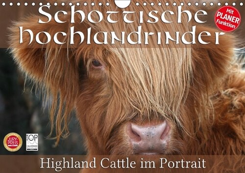 Schottische Hochlandrinder - Highland Cattle im Portrait (Wandkalender 2018 DIN A4 quer) (Calendar)