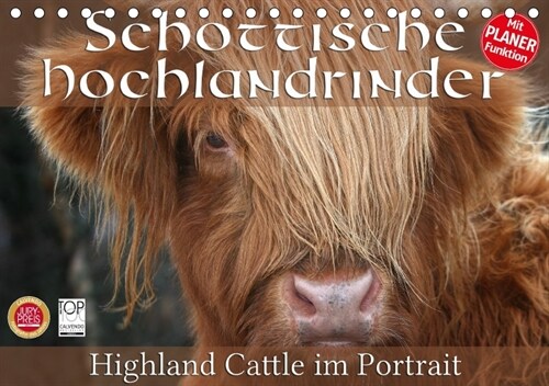 Schottische Hochlandrinder - Highland Cattle im Portrait (Tischkalender 2018 DIN A5 quer) (Calendar)