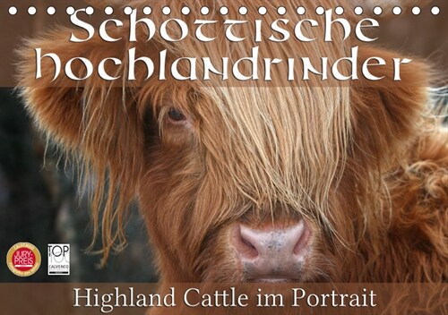 Schottische Hochlandrinder - Highland Cattle im Portrait (Tischkalender 2019 DIN A5 quer) (Calendar)