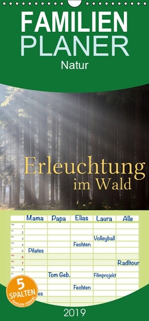 Erleuchtung im Wald - Familienplaner hoch (Wandkalender 2019 , 21 cm x 45 cm, hoch) (Calendar)