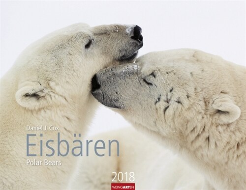 Eisbaren 2018 (Calendar)