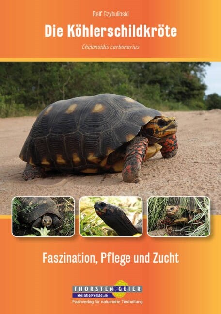 Die Kohlerschildkrote Chelonoidis carbonarius (Paperback)