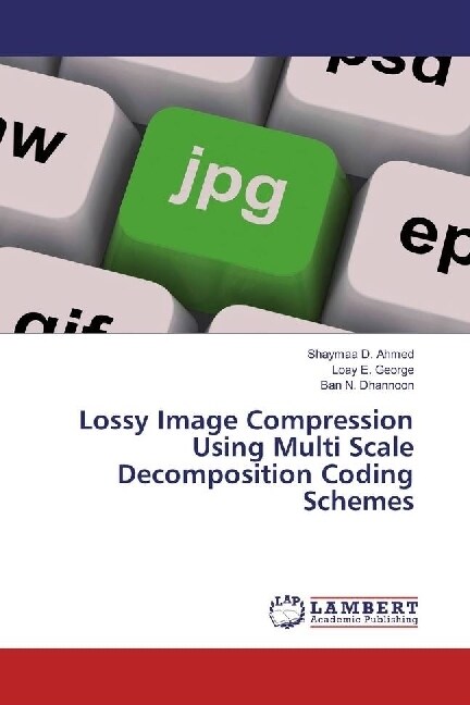 Lossy Image Compression Using Multi Scale Decomposition Coding Schemes (Paperback)