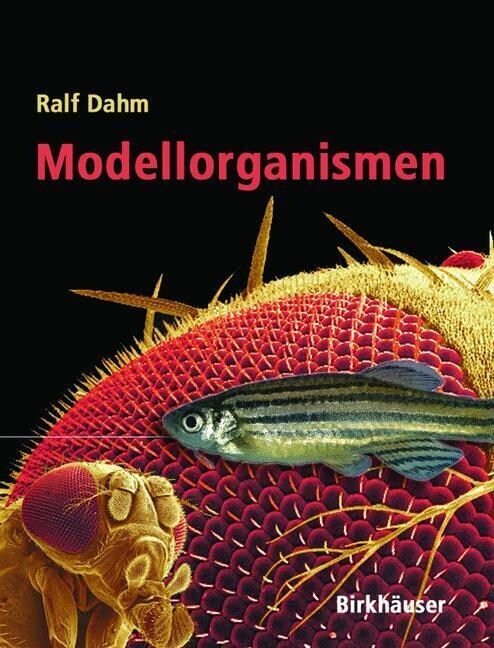 Modellorganismen (Paperback)