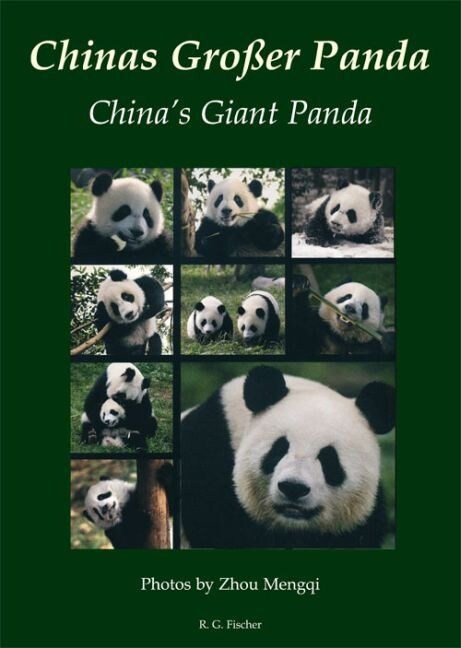 Chinas Großer Panda / Chinas Giant Panda (Hardcover)