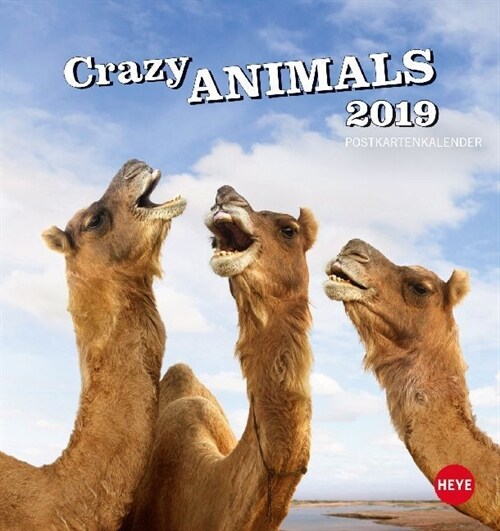 Crazy Animals Postkartenkalender 2019 (Calendar)