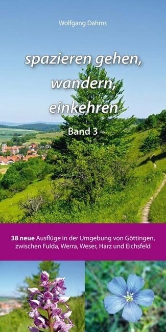 spazieren gehen, wandern, einkehren. Bd.3 (Paperback)