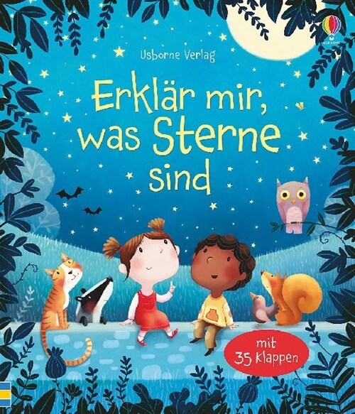 Erklar mir, was Sterne sind (Hardcover)