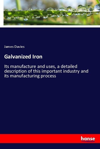 Galvanized Iron (Paperback)
