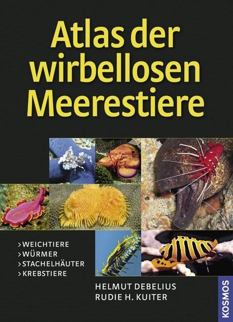 Atlas der wirbellosen Meerestiere (Hardcover)
