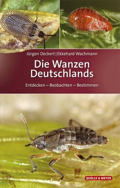 Die Wanzen Deutschlands (Hardcover)