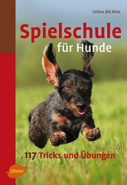 Spielschule fur Hunde (Paperback)