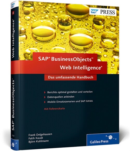 SAP BusinessObjects Web Intelligence (Hardcover)